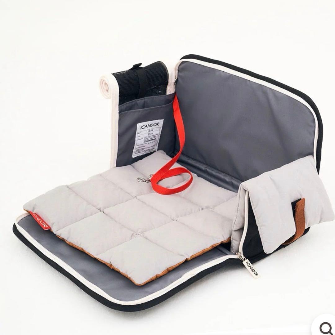 新品【iCANDOR】 i bag （Sassy Cream）犬用キャリーケース