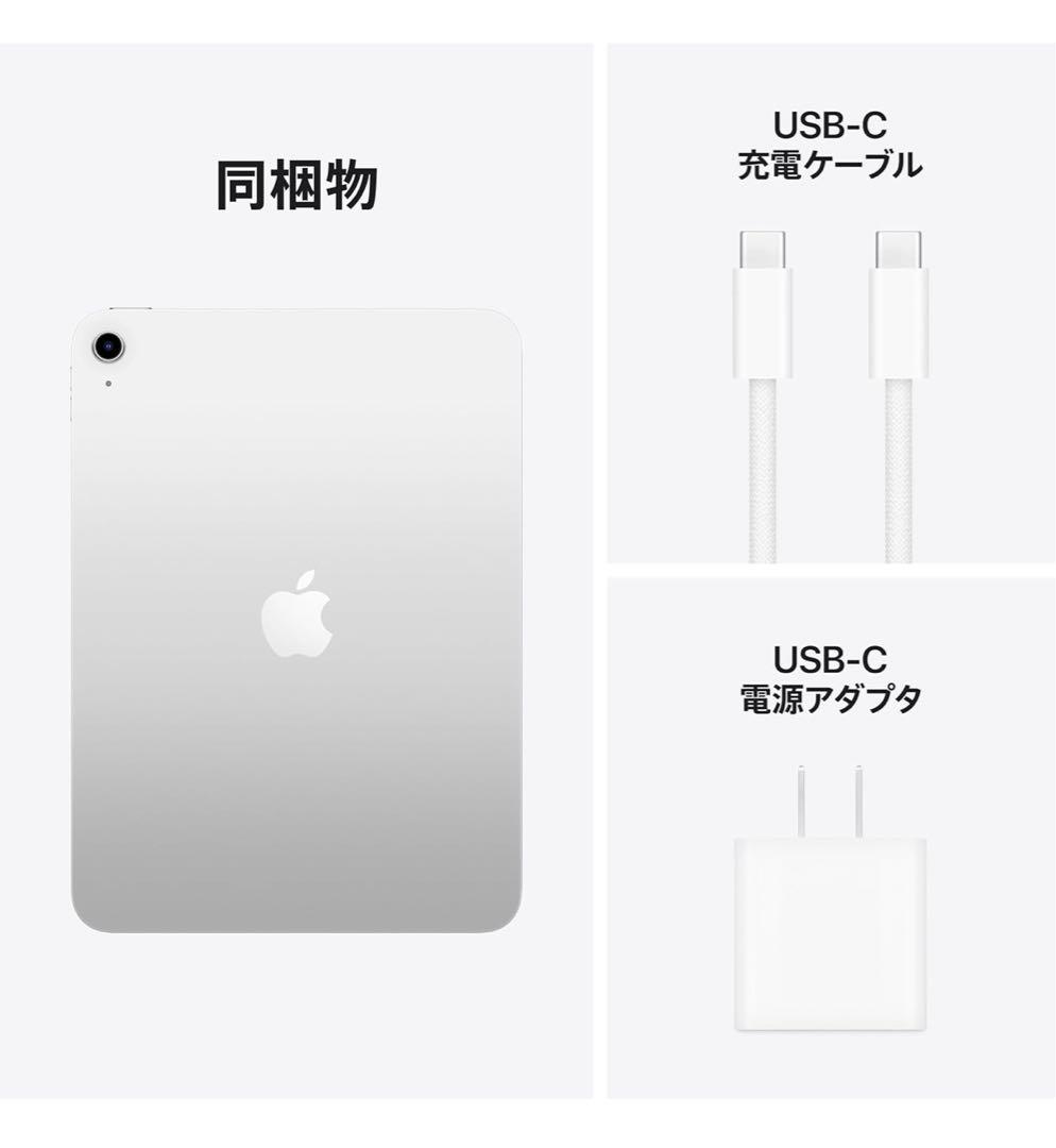 Apple iPad (第11世代) 11インチ 本体