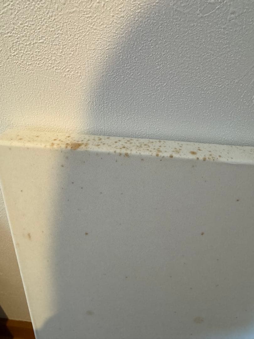 schedoni スケドーニ　レザーフレーム フェラーリ