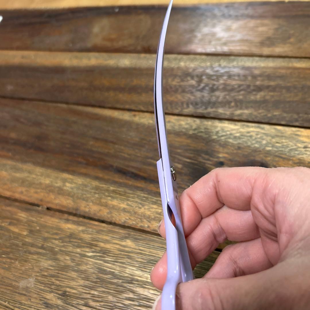 BEARDS ビアーズ　トリミング　カーブシザー　8インチ