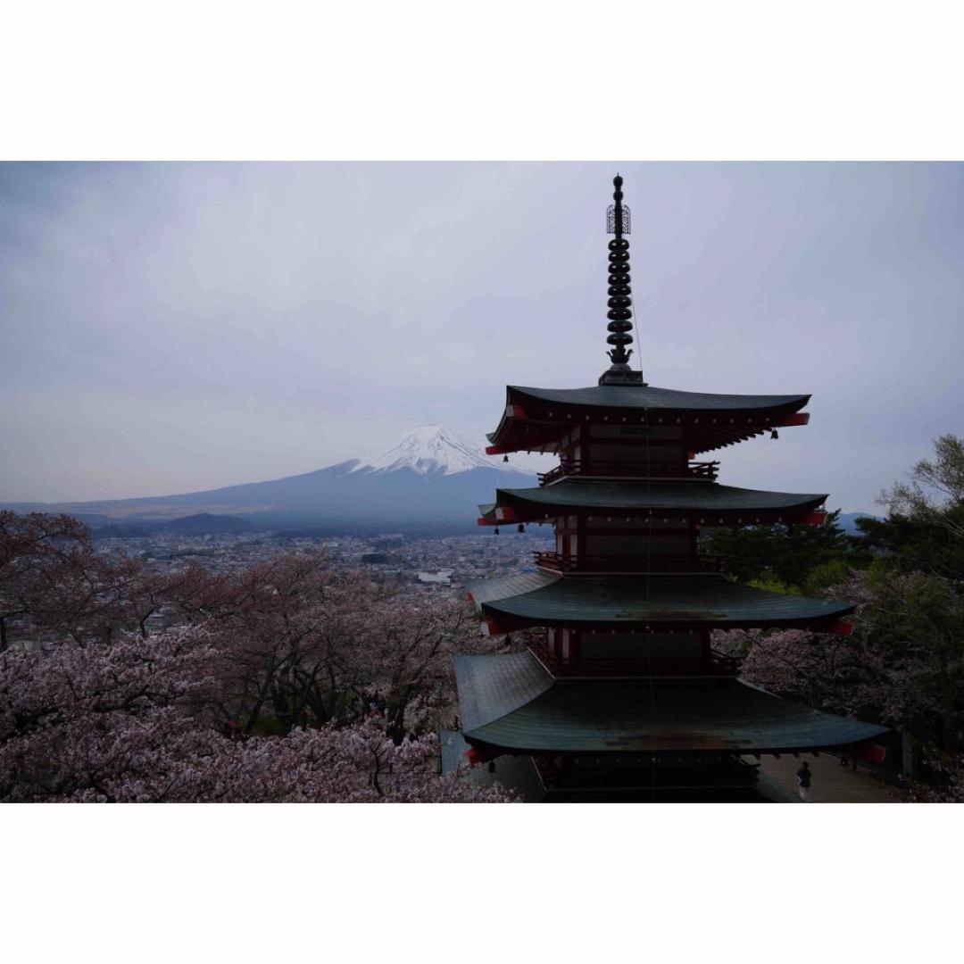 レンズ(ズーム) SONY 24-70mm F2.8 GM sel2470gm