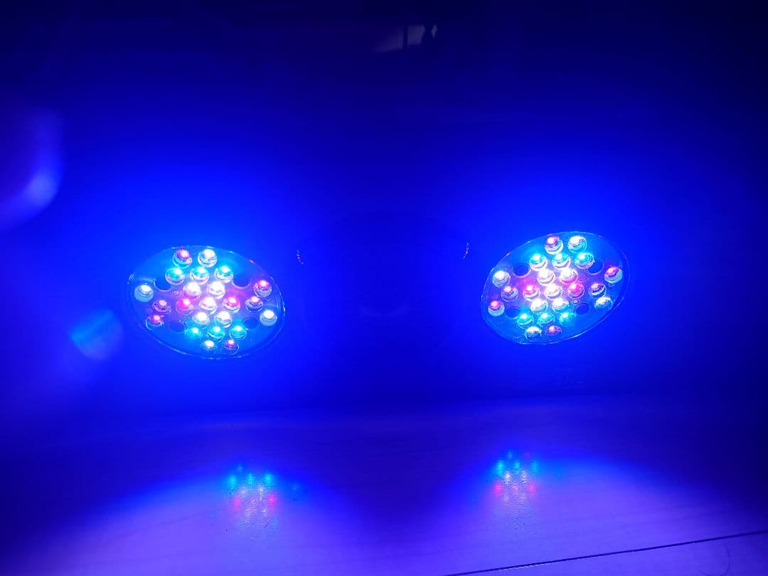 ECOTECH MARIN Radion G4 LEDライト　エコテックマリン