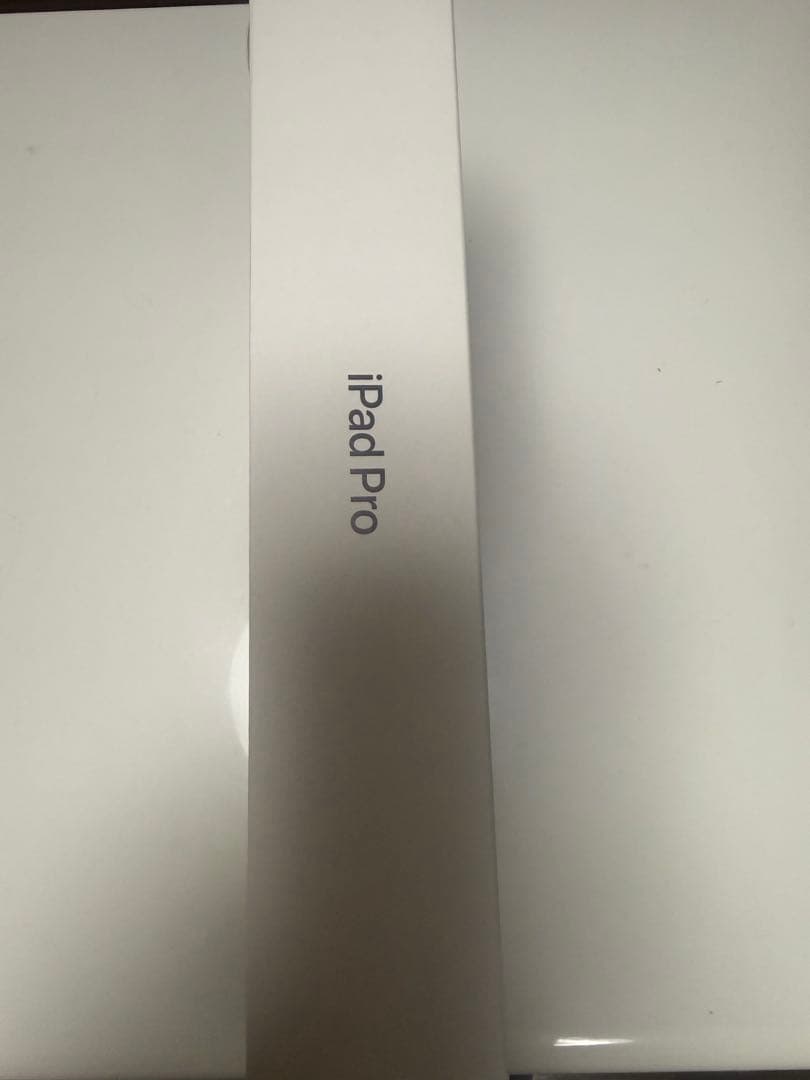 Apple iPad Pro 11インチ シルバー 本体