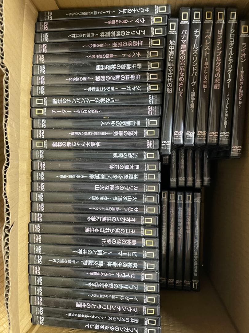 ポ*グ様 野生動物・ナショナルジオグラフィック DVDセットほぼ揃ってます2枚ほ