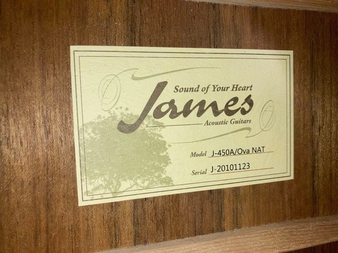 James J-450A/Ova NAT ジェームスエレアコギター