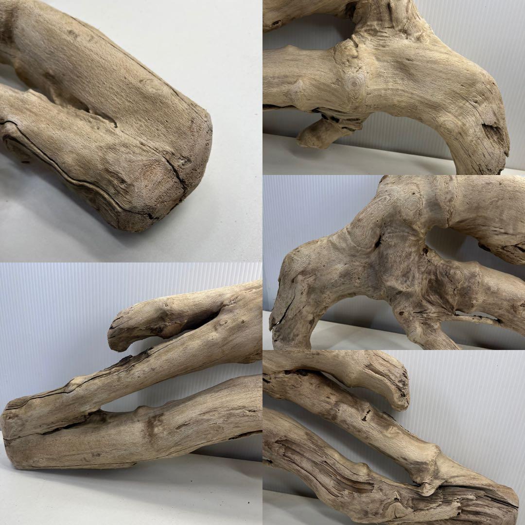 k6大型流木 アク抜き済み 爬虫類シェルター レイアウト用 登り木 インテリア