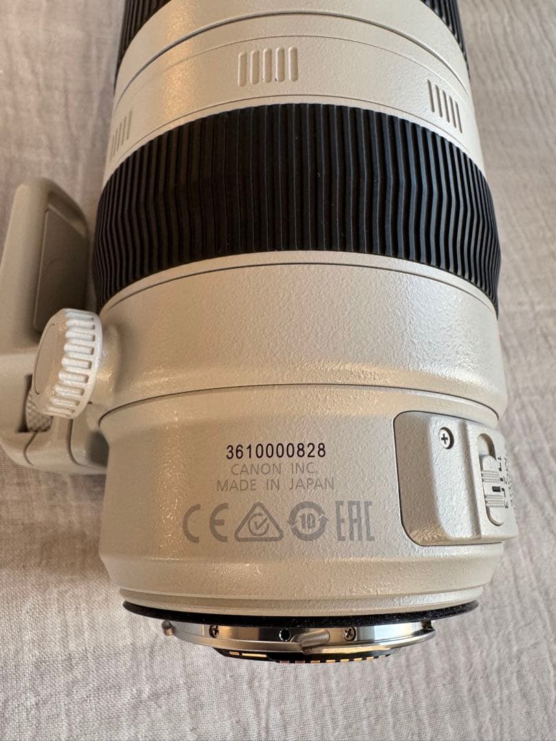 使用2週Canon EF100-400mm F4.5-5.6L ISII USM