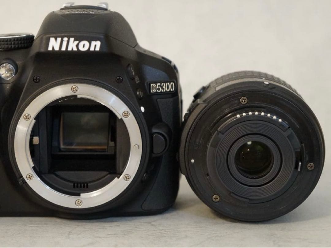 Nikon D5300 AF-S18-５５GiiVR サンパック　PF30X