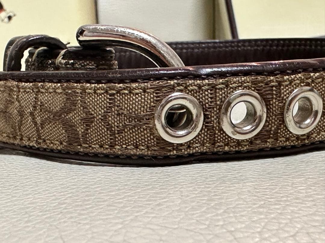 coach 犬首輪、リードセット