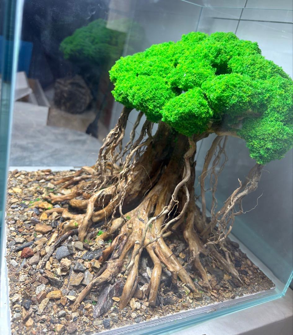人工盆栽流木　アクアリウム