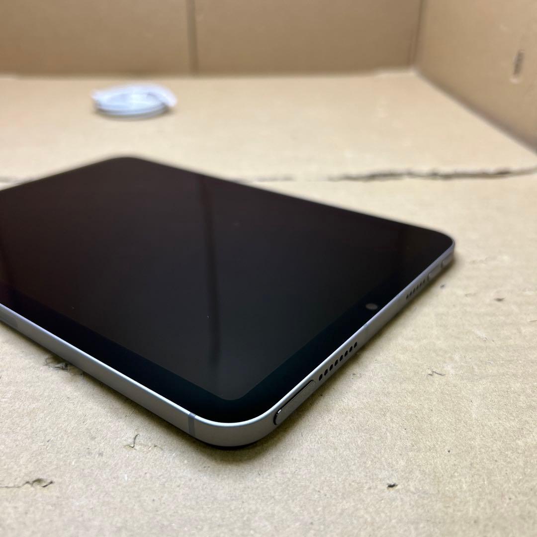 Apple iPad mini(A17 Pro) WIFI+セラルー　256GB