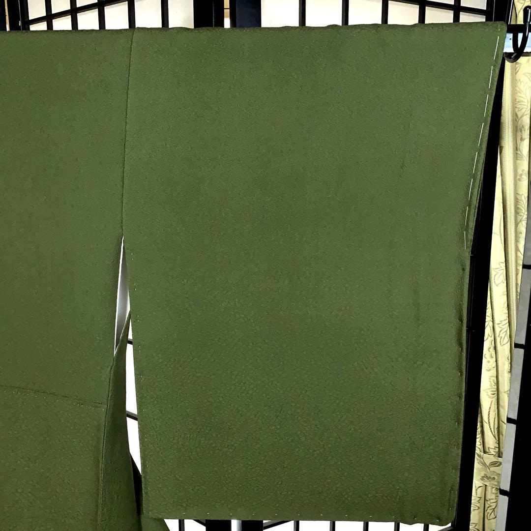 【コロ　】君島一郎　寿光織　色無地　一ツ紋　身丈172.5cm 長身で細身