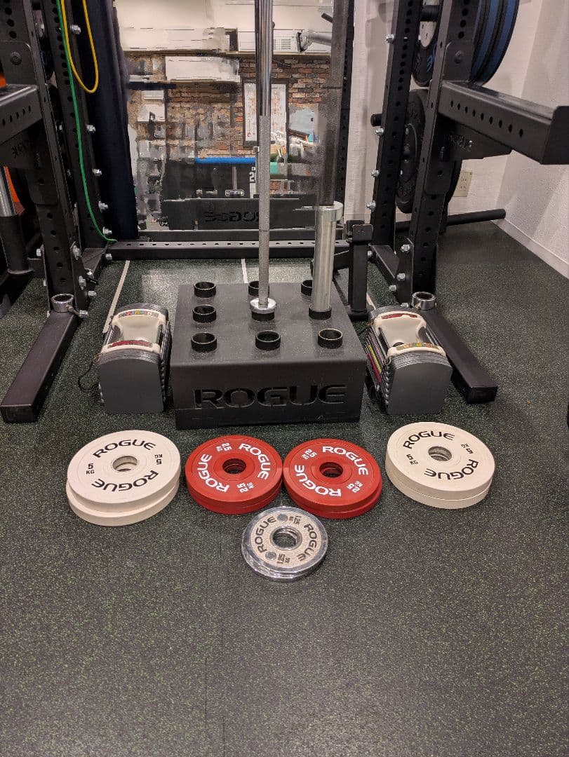 秘*地様 期間限定引き取り値引き　Rogue ハーフラック パワーラック一式セッ