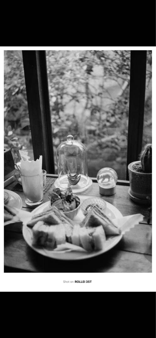 Rollei 35 T 水銀電池アダプターmr9付