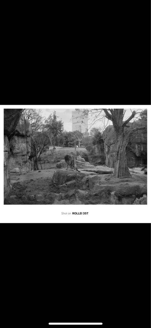 Rollei 35 T 水銀電池アダプターmr9付