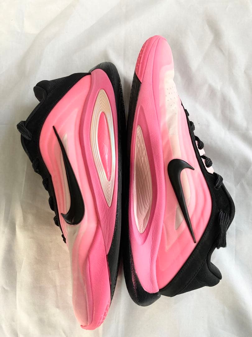 最終価格！ナイキ　バッシュ　A'One Leo Lights EP