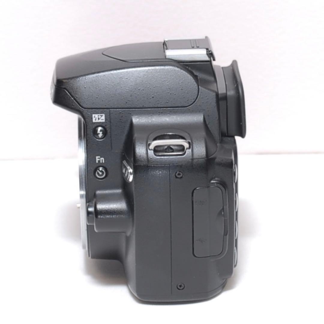 お年玉で一眼レフデビュー ✨Nikon D60✨ シングルレンズ✨ 少シャッター