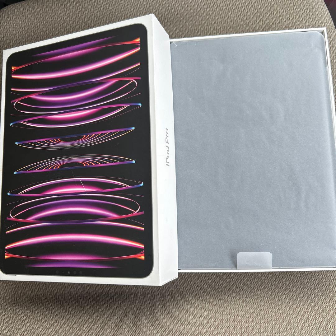 iPad Pro11インチ 第4世代 256GB セルラー スペースグレー 美品