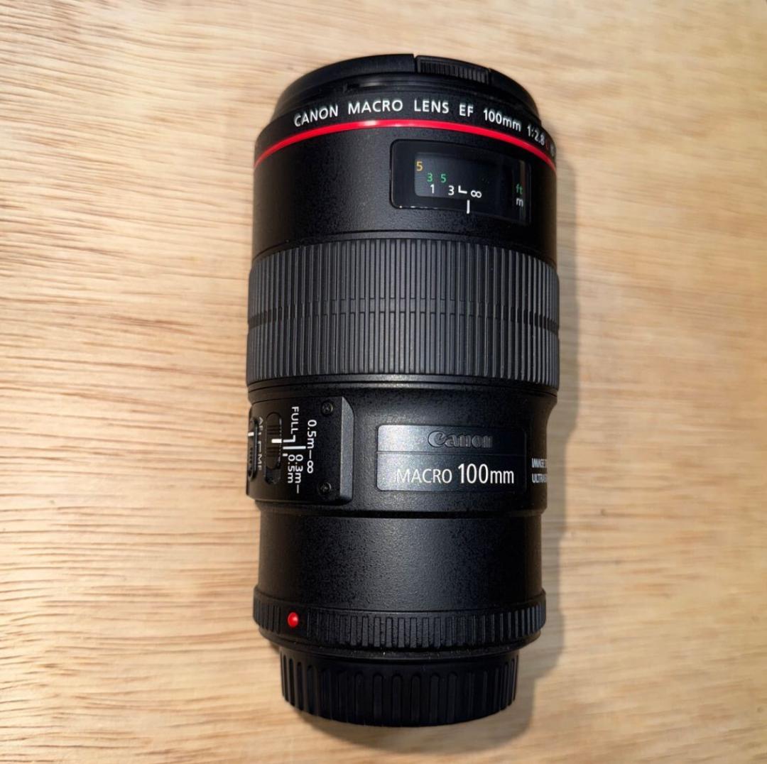 極上Canon EF100mm F2.8L マクロ IS USM MACRO