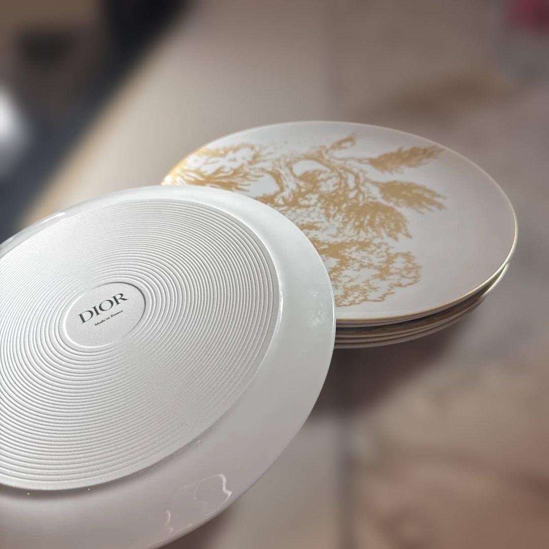 クリスチャンディオール ブロッシュ 大皿 ディナープレート 6枚 D ior食器