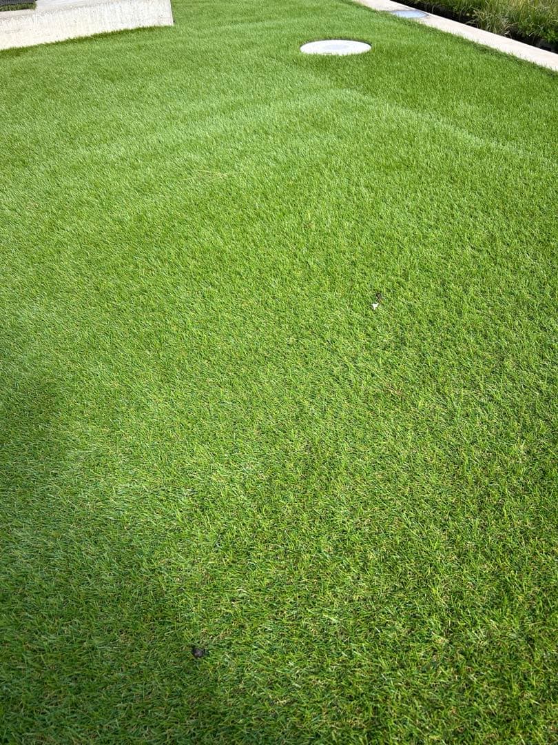 【お買い得】人工芝　SDターフ3ミリ　2m×4.5m