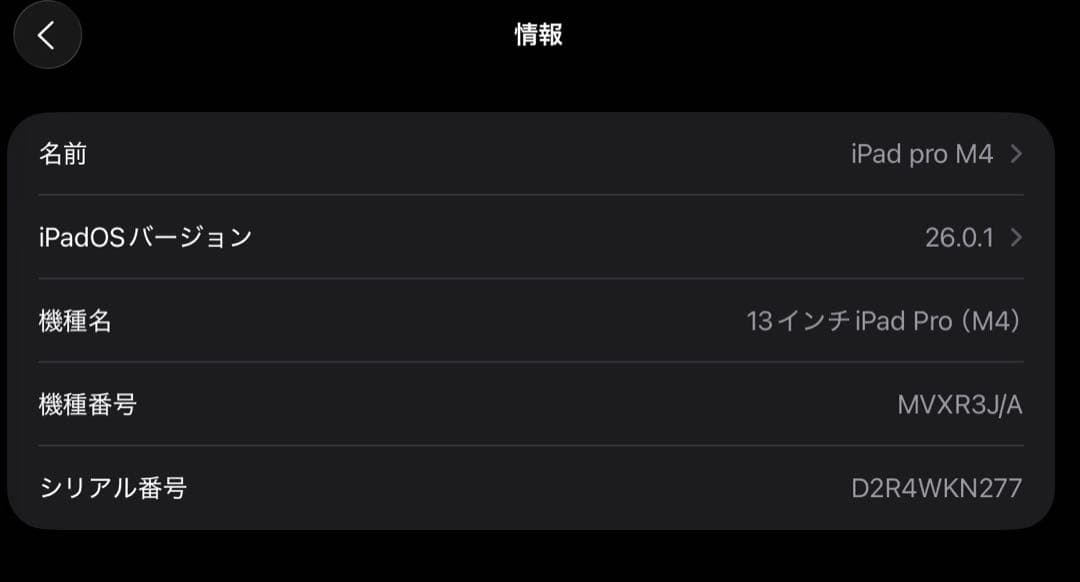 iPad Pro 13インチ (M4) Wi-Fi + Cellular