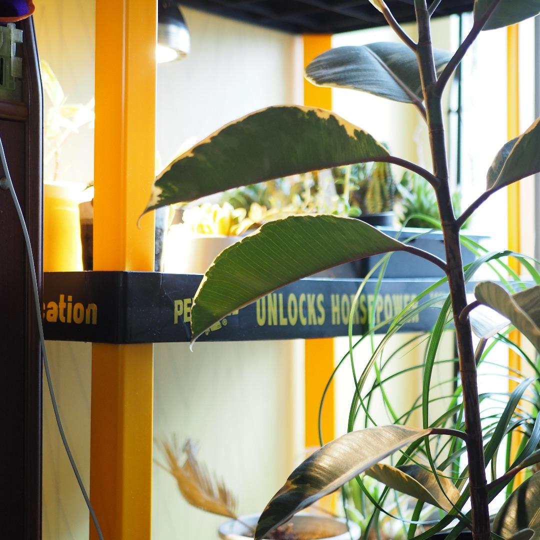 訳ありLUMIX G 25mm / F1.7 ASPH. H-H025シルバー