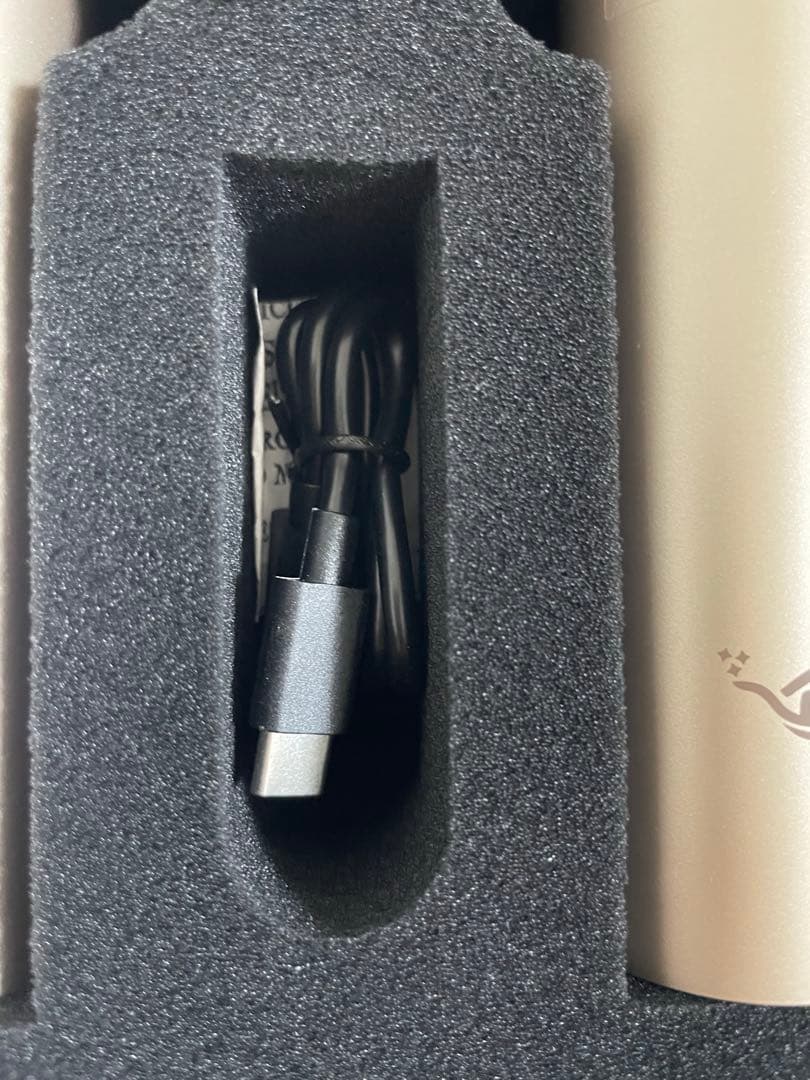 Aladdin Mic 2 マイク2本セット