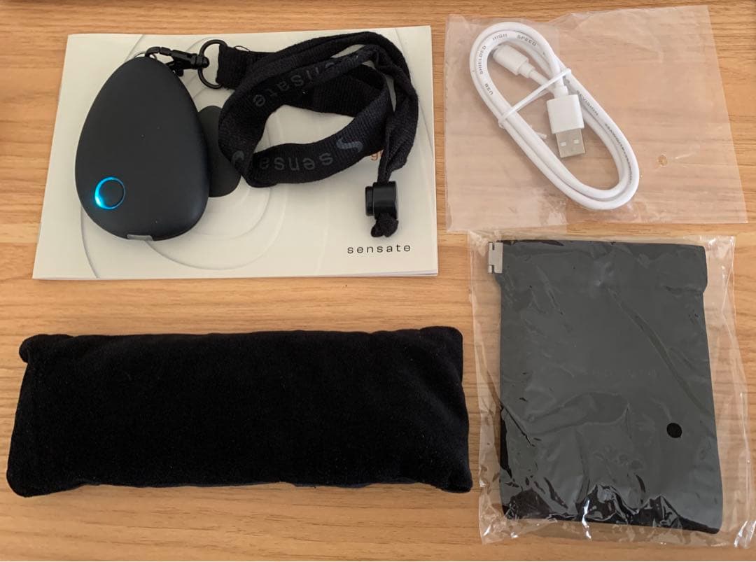 Sensate センサート2