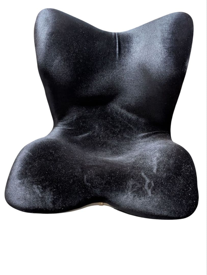 Style PREMIUM DX ブラック