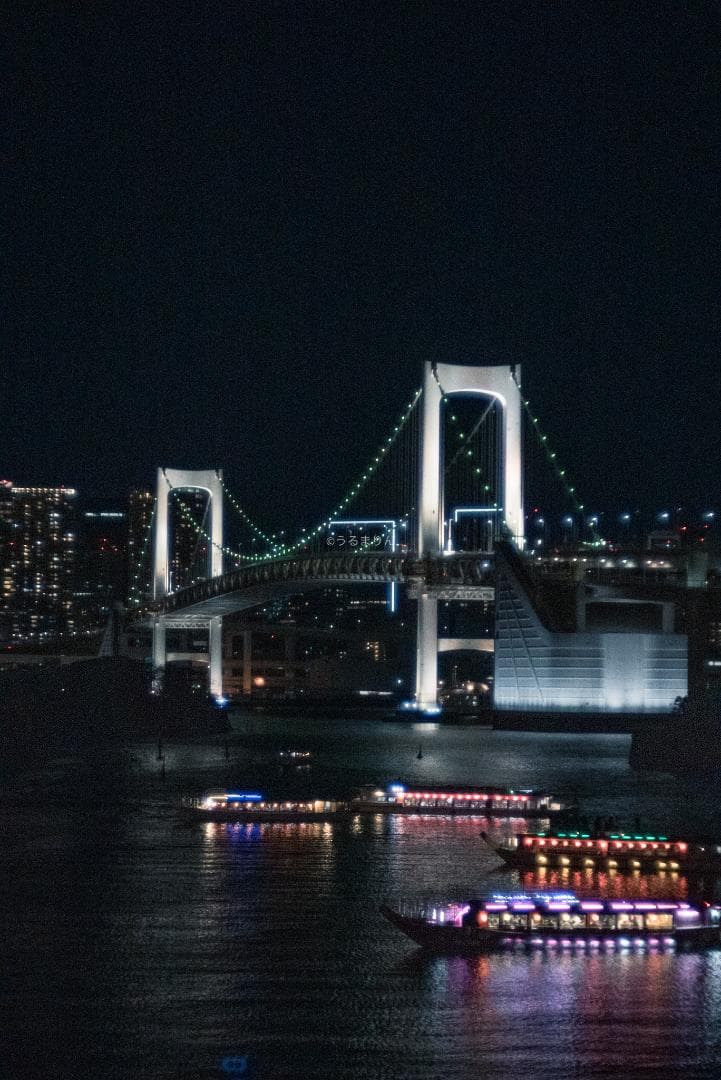 棚卸SALE！Trioplan 100mm F2.8 Leica Mマウント