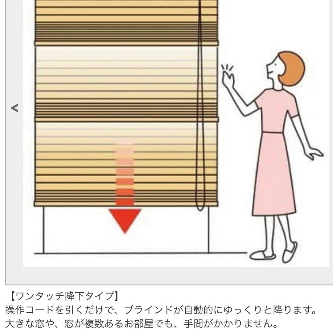 立川ウッドブラインド フォレティア　1560 x 高910