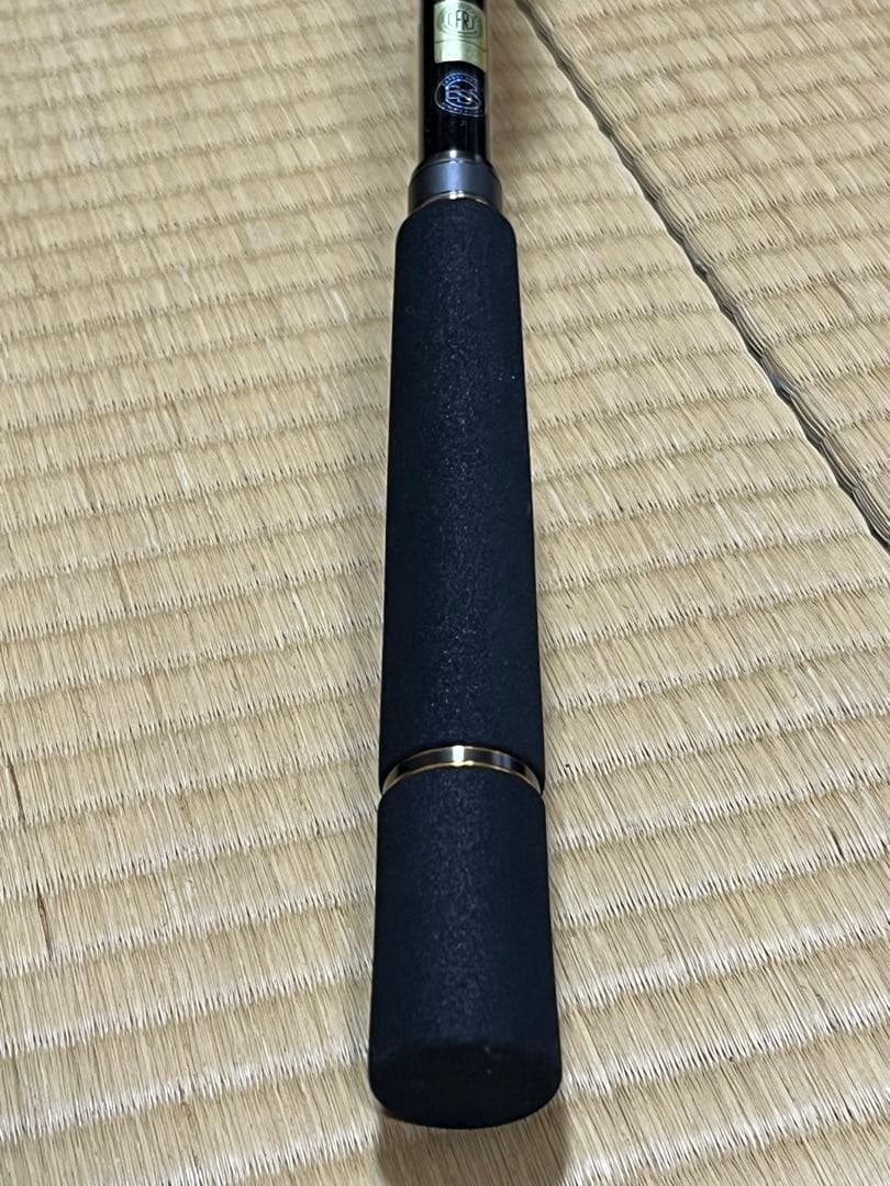 ダイワ　21モアザン ブランジーノ EX AGS 97ML/M