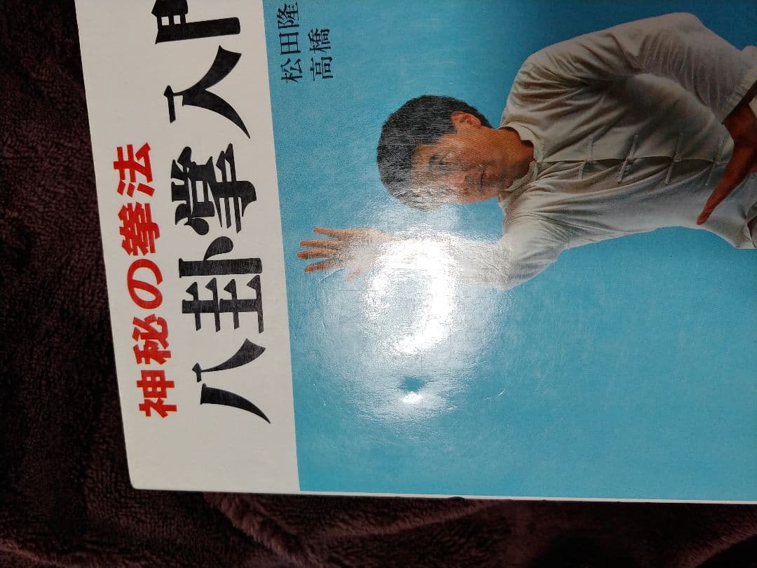 神秘の拳法 八卦掌入門 松田隆智 高橋賢 日東書院
