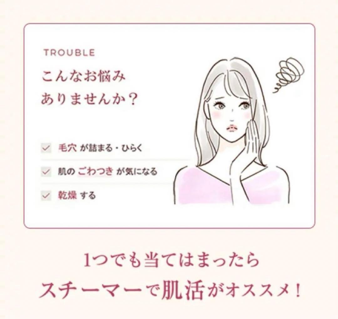 未使用　クリアスキンナノスチーマー IS-97W