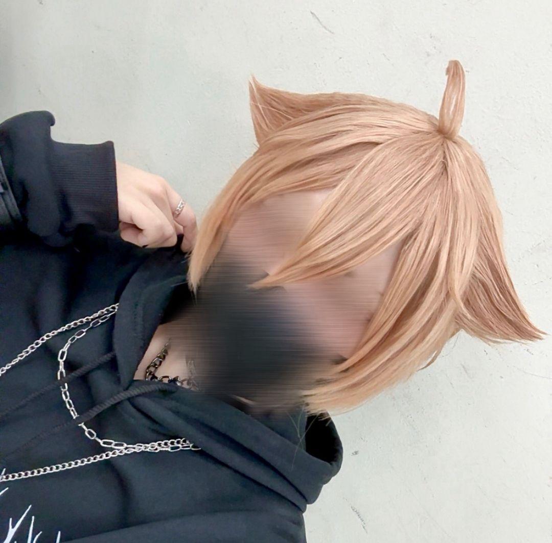 コスプレ　伏見ガク　にじさんじ　ウィッグ　セット済み