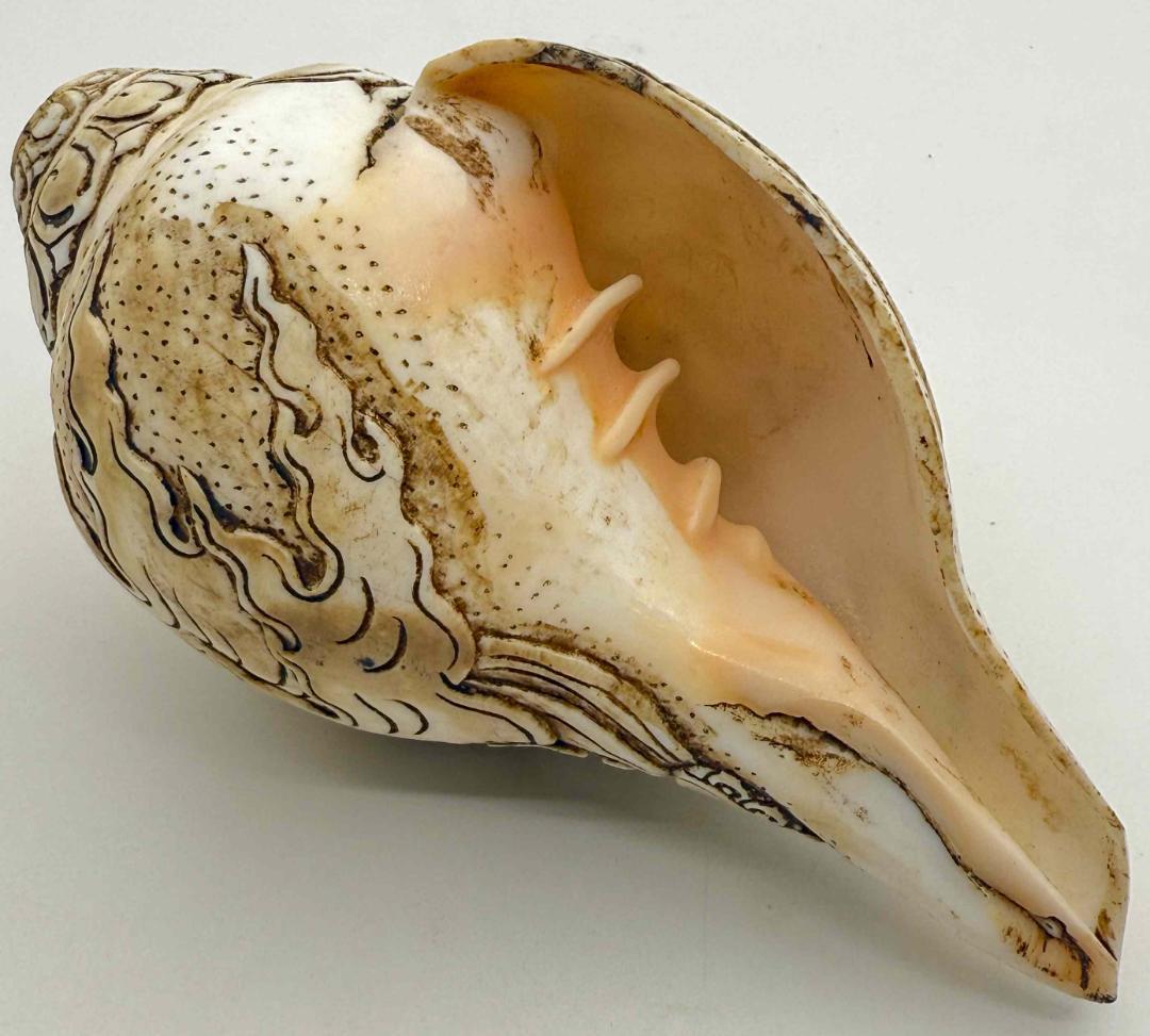 チベット密教法具　法螺貝（シャンカ）チティパティ-1