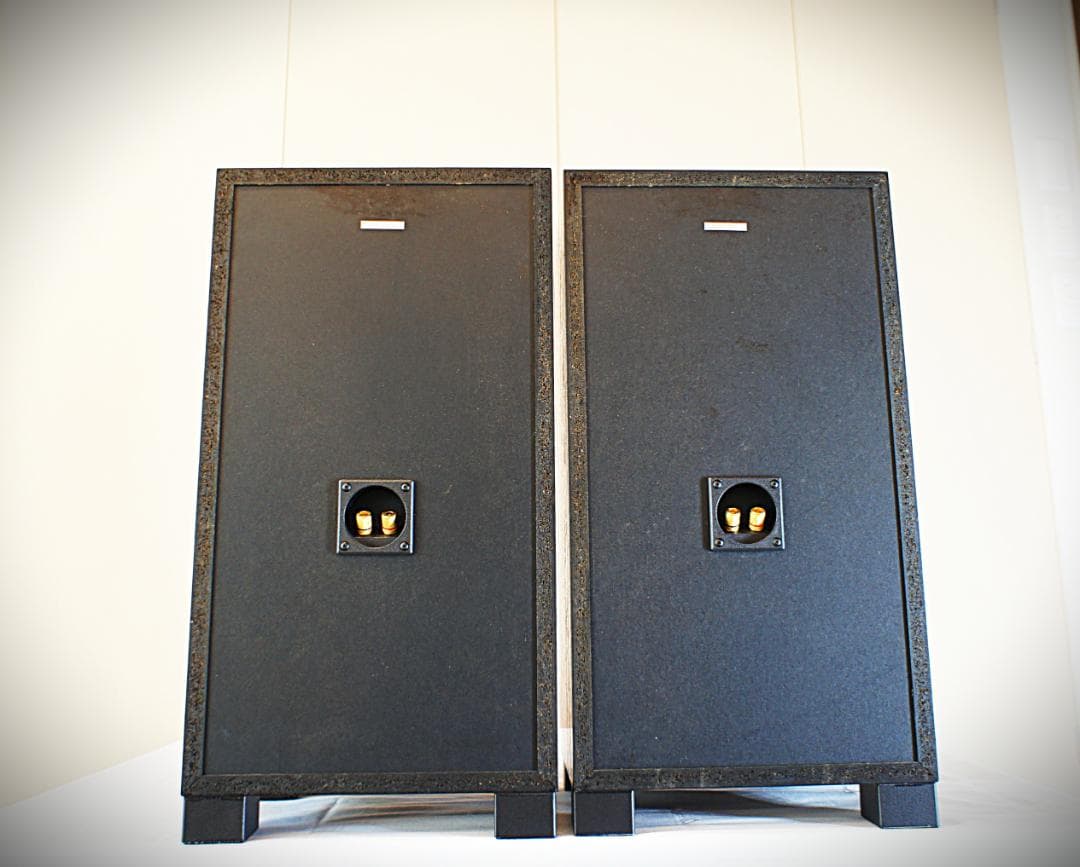 KENWOODケンウッドROXY DG1スピーカー　インシュレータ付