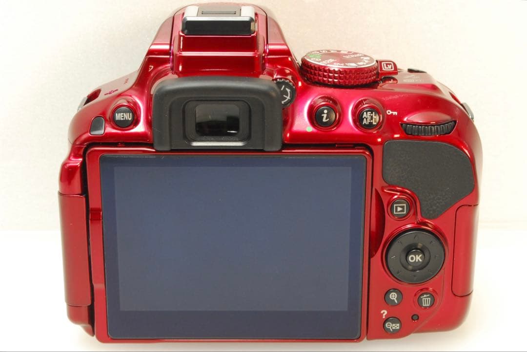 tipoff 様フォロー割_Nikon D5300❤️デジタル一眼レフカメラ