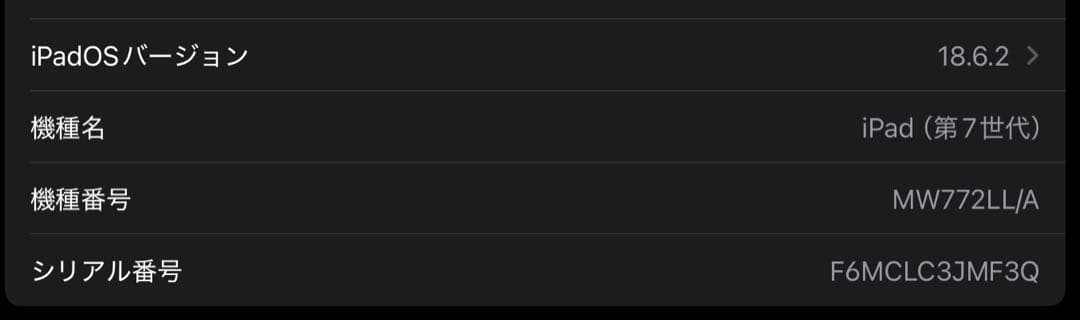 【即日発送！】Apple iPad (第７世代) Wi-Fi 128GB+付属品