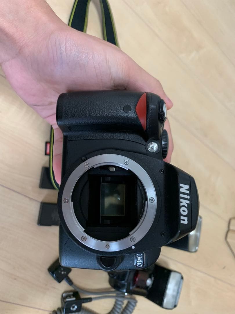 Nikon D3100 と Nikon D40