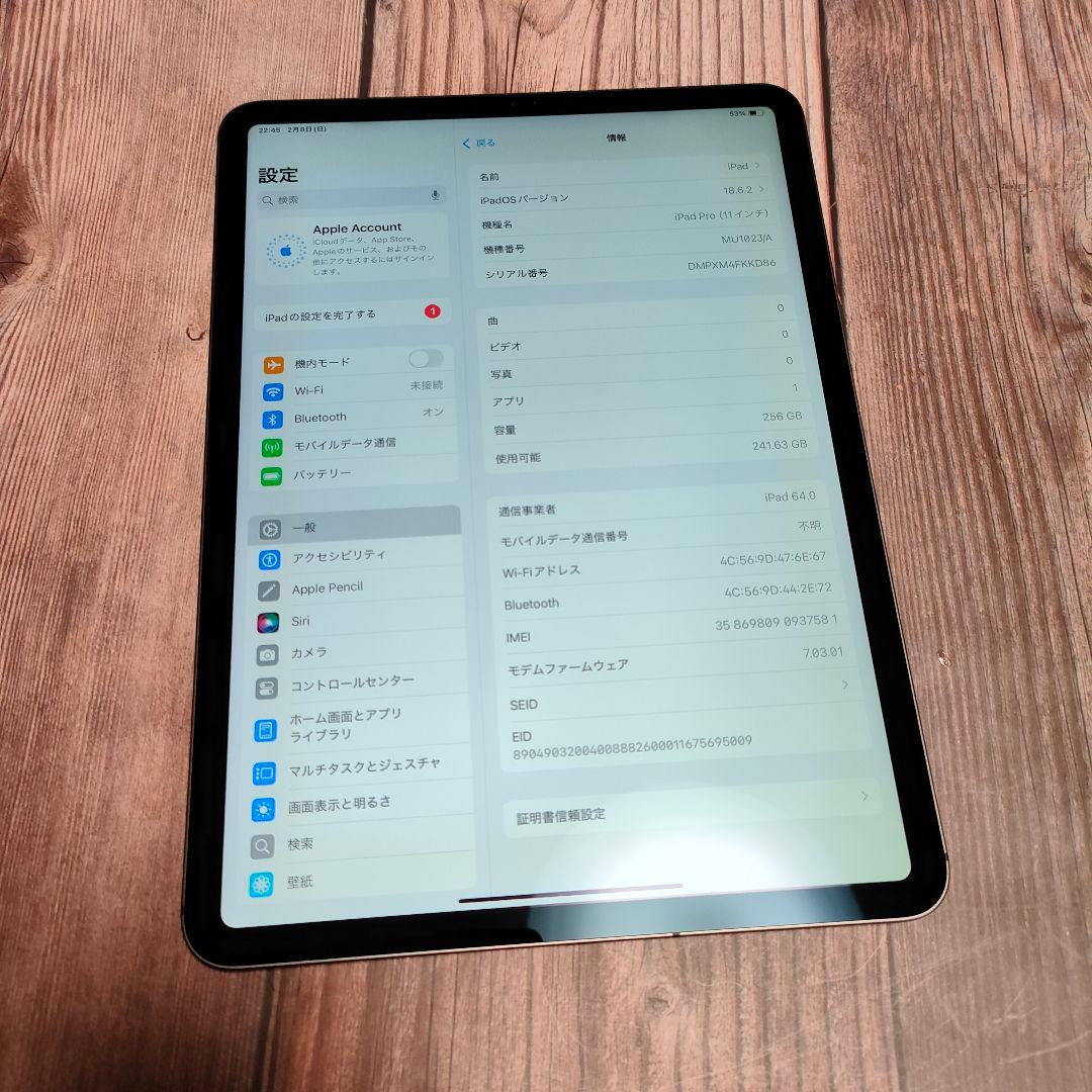 iPad Pro 11インチ 第1世代 256GB SIMフリー 超美品
