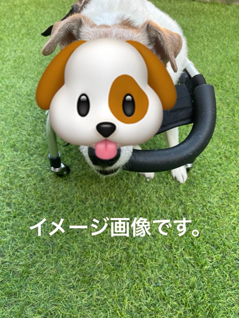 犬用歩行器　犬用車椅子　顎のせ付き