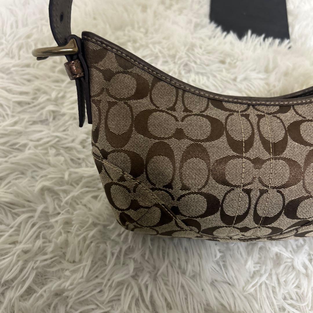 【極美品】COACH ワンショルダー シグネチャー パイソンショルダー