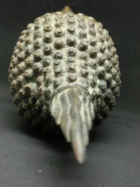 ブッダ　仏陀　仏頭　仏像　タイ　アンティーク　置物