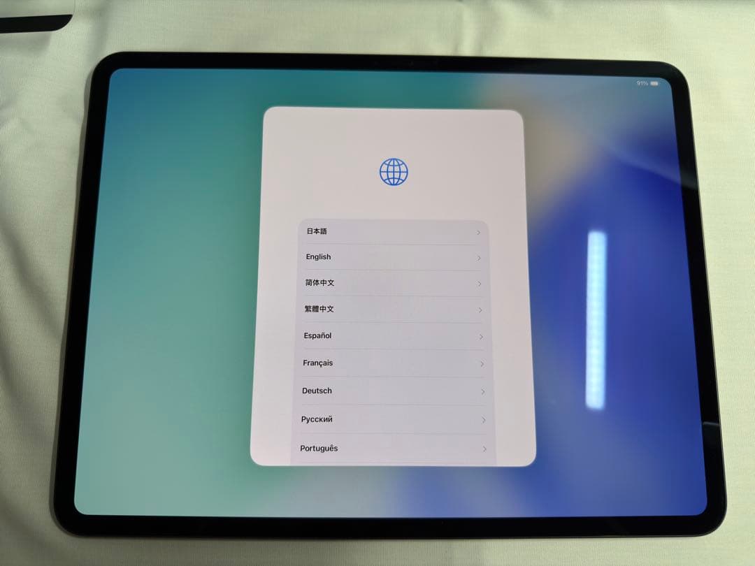 Apple iPad Pro M4 13インチ 256GB