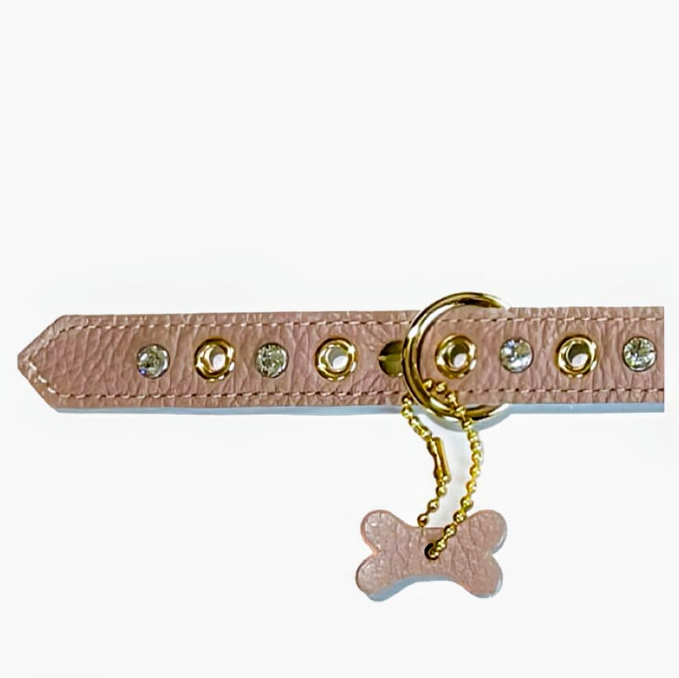 バディーベルト　ハーネス・カラー・リードの3点 バディベルト　BUDDYBELT