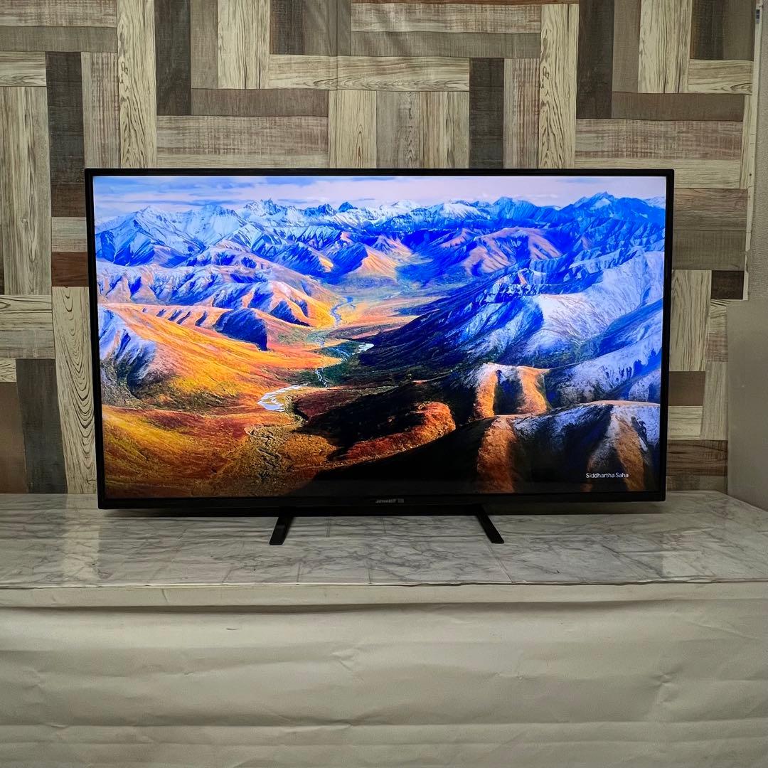 即日受渡❣️全国送料込ジャパンネクスト50型4K液晶モニターブルーライト軽減