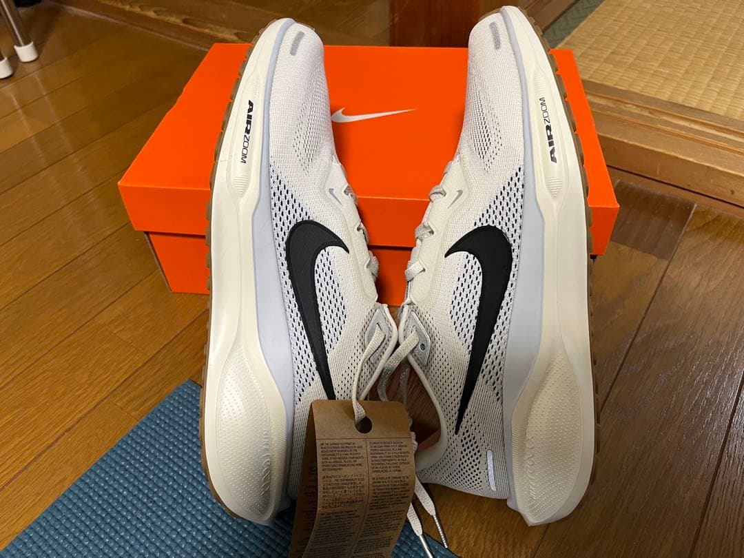 エアズームペガサス41（27cm）