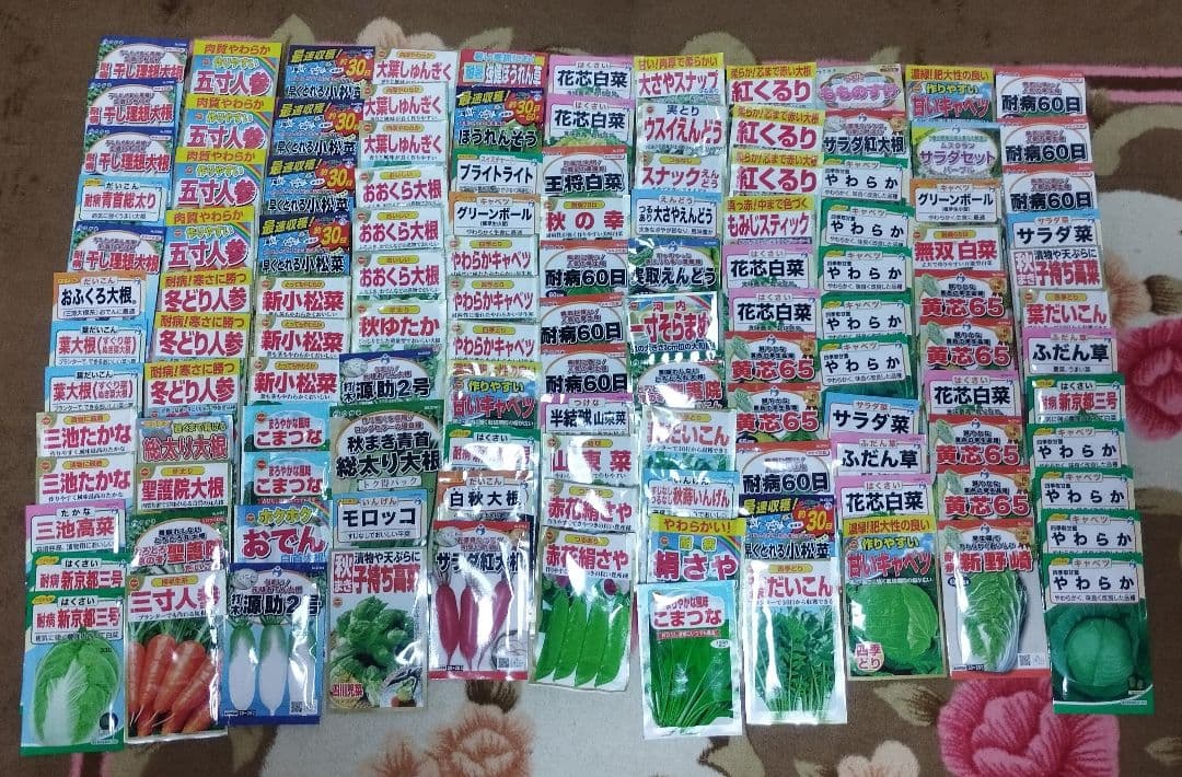 果菜 cleaning